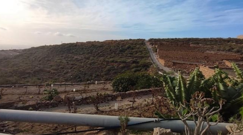 Santa Creu de Tenerife - Granadilla de Abona - 18511m2