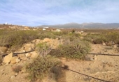 Non-developable land for sale on España, Granadilla de Abona, ref: TR407160 photo