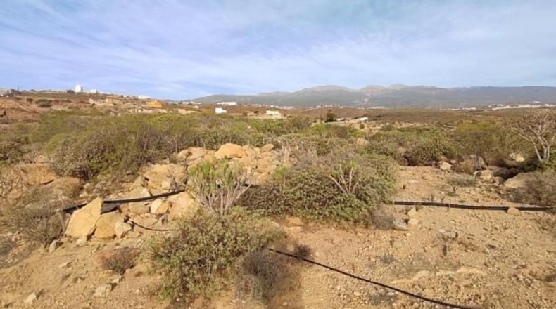 Santa Creu de Tenerife - Granadilla de Abona - 18511m2