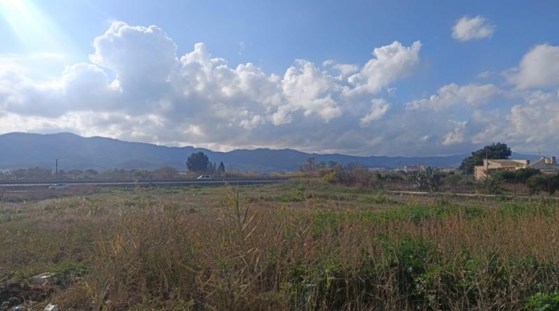 Múrcia - Murcia - 2300m2