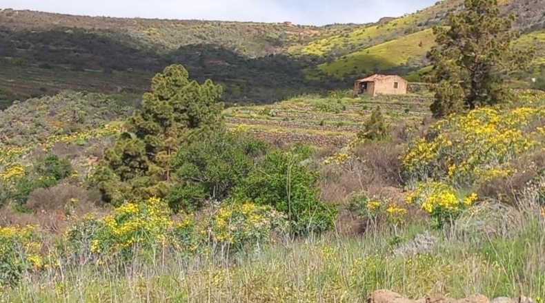 Santa Creu de Tenerife - Vilaflor - 23158m2