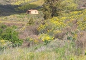 Casa de camp amb terreny en venda a la España, Vilaflor, ref.: TR407165 foto