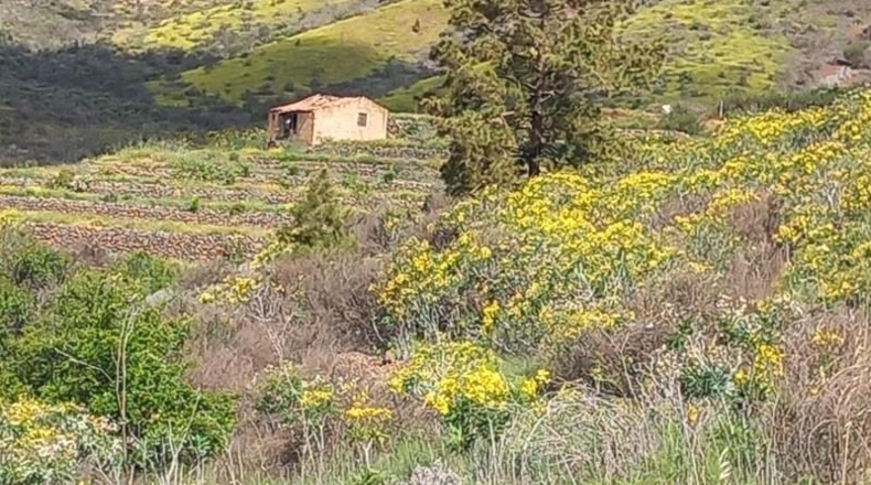 Santa Creu de Tenerife - Vilaflor - 23158m2