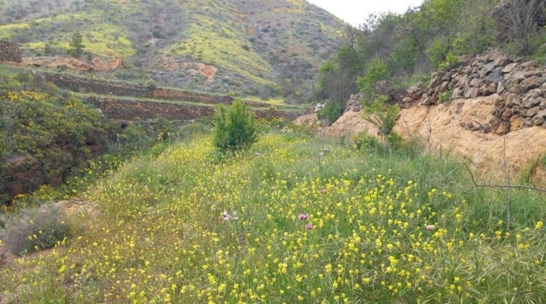 Santa Creu de Tenerife - Vilaflor - 23158m2