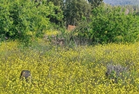 Foto 14