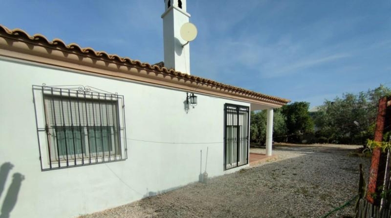 Almería - Albox - 458m2