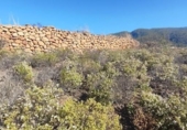 Земля на продажу у города Granadilla de Abona Фото