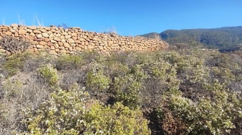 Santa Creu de Tenerife - Granadilla de Abona - 17992m2