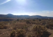 Земля на продажу у города Granadilla de Abona Фото