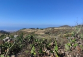 Земля на продажу у города Granadilla de Abona Фото