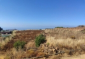 Земля на продажу у города Granadilla de Abona Фото
