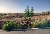 Parcel·la urbanitzable en venda a la España, Granadilla de Abona, ref.: TR407183 foto