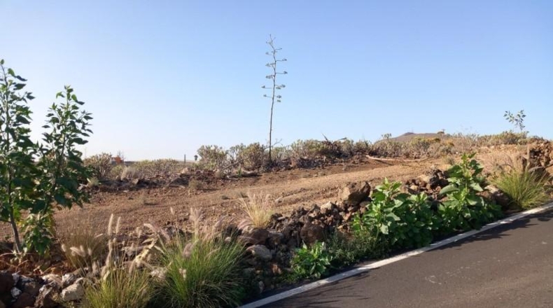 Santa Creu de Tenerife - Granadilla de Abona - 1880m2