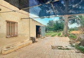 Отдельно стоящий дом с участком на продажу в городе Tortosa Фото
