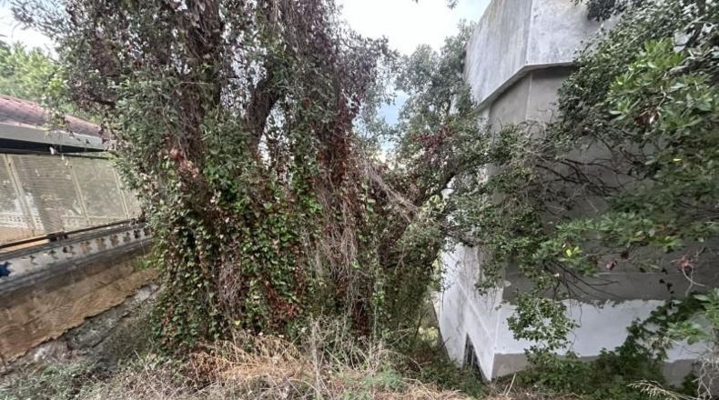 Жирона - Lloret de Mar - 614m2