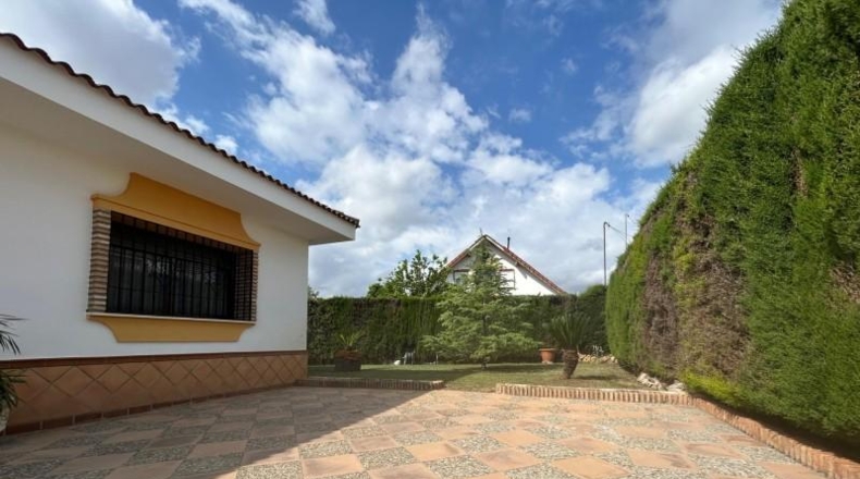 Cordova - Alcolea - 850m2