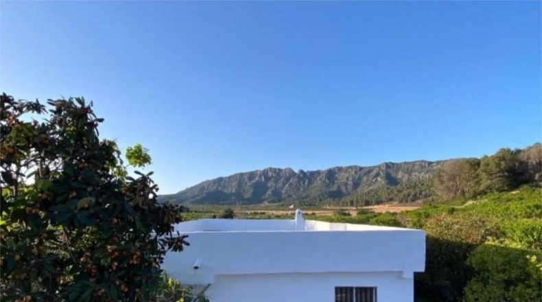 València - Alzira - 2700m2