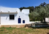 Xalet independent amb terreny en venda a la España, Alzira, ref.: TR407232 foto
