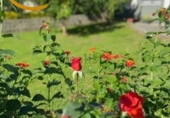 Отдельно стоящий дом с участком на продажу в городе Renedo de Piélagos Фото