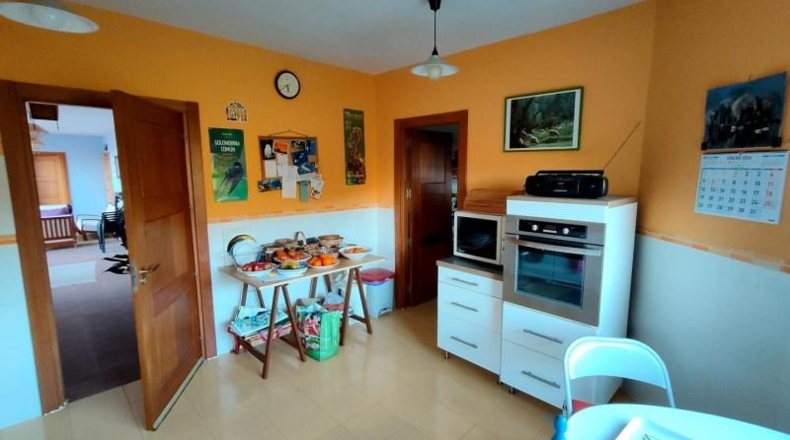 Cáceres - Hernán-Pérez - 40000m2