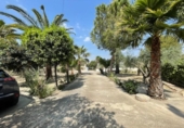 Chalet independiente con terreno en venta en la España, el Rebolledo, ref: TR407287 foto