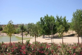 Foto 13
