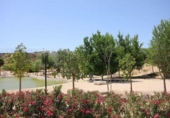 Chalet independiente con terreno en venta en la España, Benijófar, ref: TR391987 foto