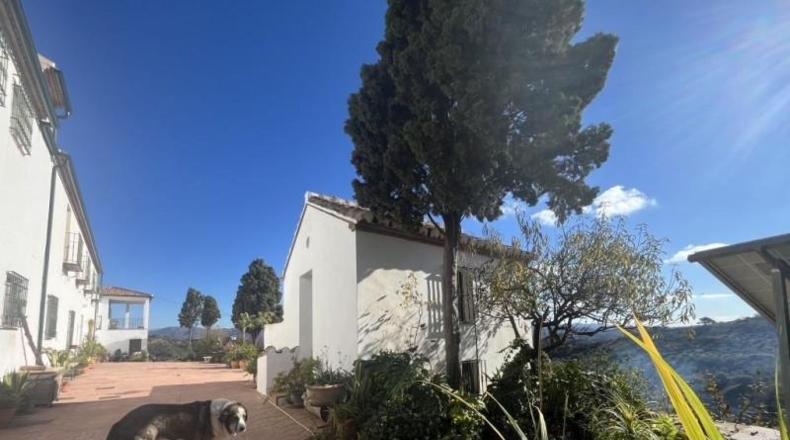 Малага - Almogía - 15000m2