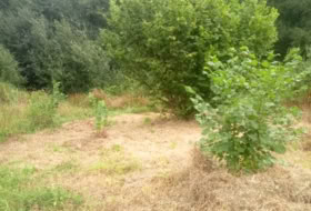 Foto 9