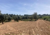Xalet independent amb terreny en venda a la España, Calaceit, ref.: TR407345 foto