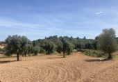 Xalet independent amb terreny en venda a la España, Calaceit, ref.: TR407345 foto