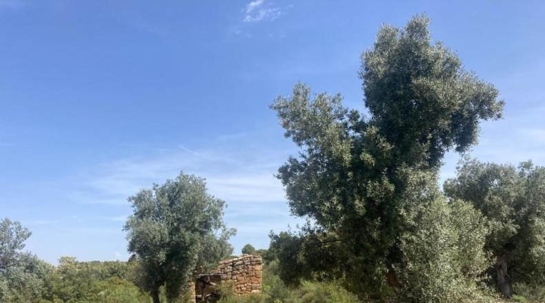Teruel - Calaceit - 25m2