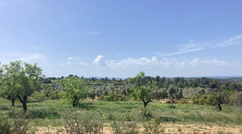 Teruel - Calaceit - 25m2