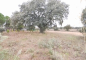 Terreno no urbanizable en venta en la España, Mozárbez, ref: TR172897 foto
