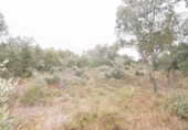 Terreno no urbanizable en venta en la España, Mozárbez, ref: TR172897 foto
