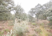 Terreno no urbanizable en venta en la España, Mozárbez, ref: TR172897 foto
