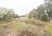 Terreno no urbanizable en venta en la España, Mozárbez, ref: TR172897 foto