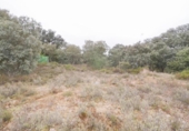 Terreno no urbanizable en venta en la España, Mozárbez, ref: TR172897 foto