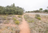 Terreno no urbanizable en venta en la España, Mozárbez, ref: TR172897 foto