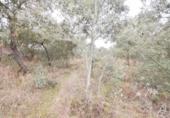 Terreno no urbanizable en venta en la España, Mozárbez, ref: TR172897 foto