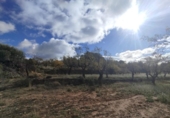 Xalet independent amb terreny en venda a la España, Alcanyís, ref.: TR407335 foto