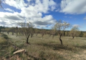 Xalet independent amb terreny en venda a la España, Alcanyís, ref.: TR407335 foto