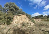 Xalet independent amb terreny en venda a la España, Alcanyís, ref.: TR407335 foto
