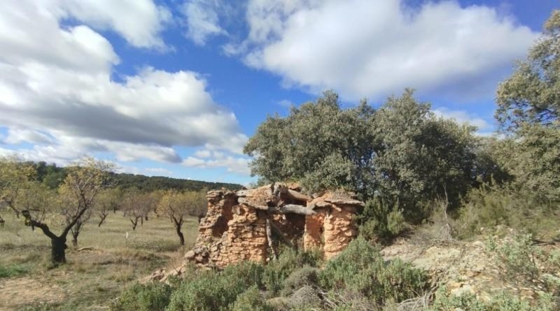 Teruel - Альканьис - 18954m2