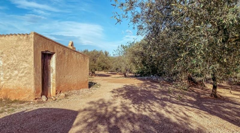 Tarragona - Santa Bàrbara - 8552m2