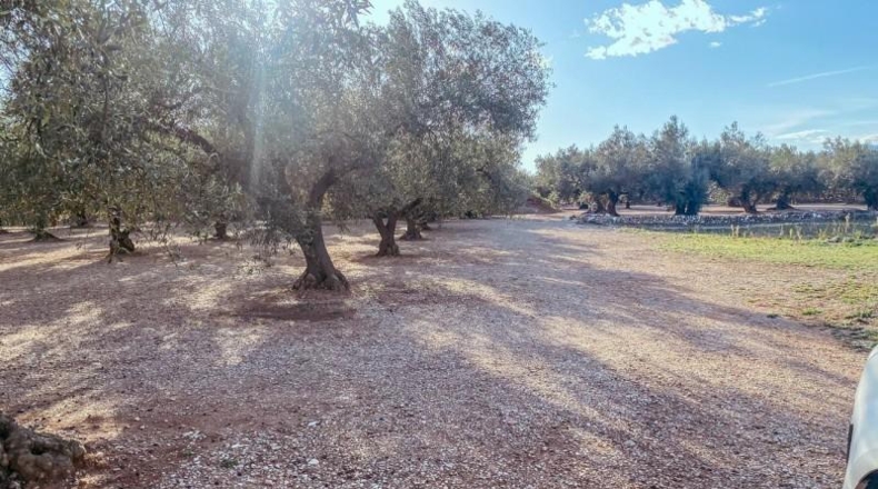 Tarragona - Santa Bàrbara - 8552m2
