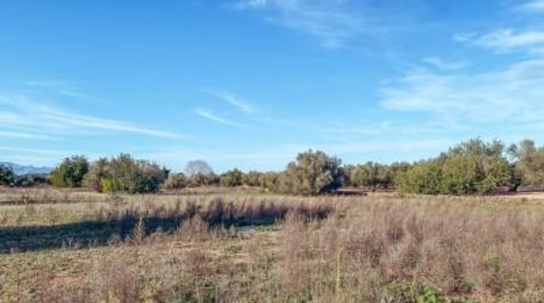 Tarragona - Santa Bàrbara - 8552m2