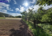 Terreny no urbanitzable en venda a la España, Carucedo, ref.: TR407339 foto
