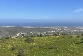 Telde 2041&nbsp;m² 