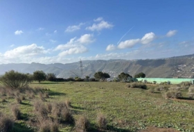 Telde 2041&nbsp;m² 